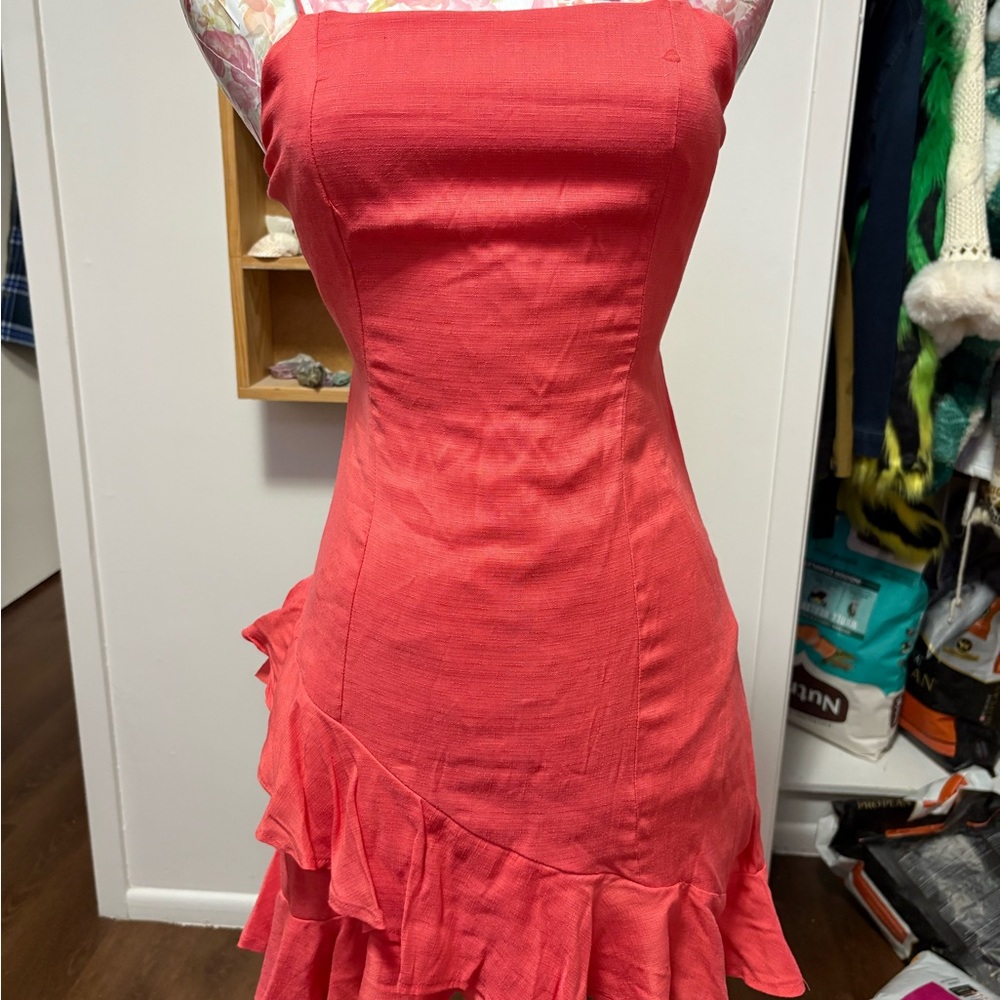 Franchesca’s Coral Dress
